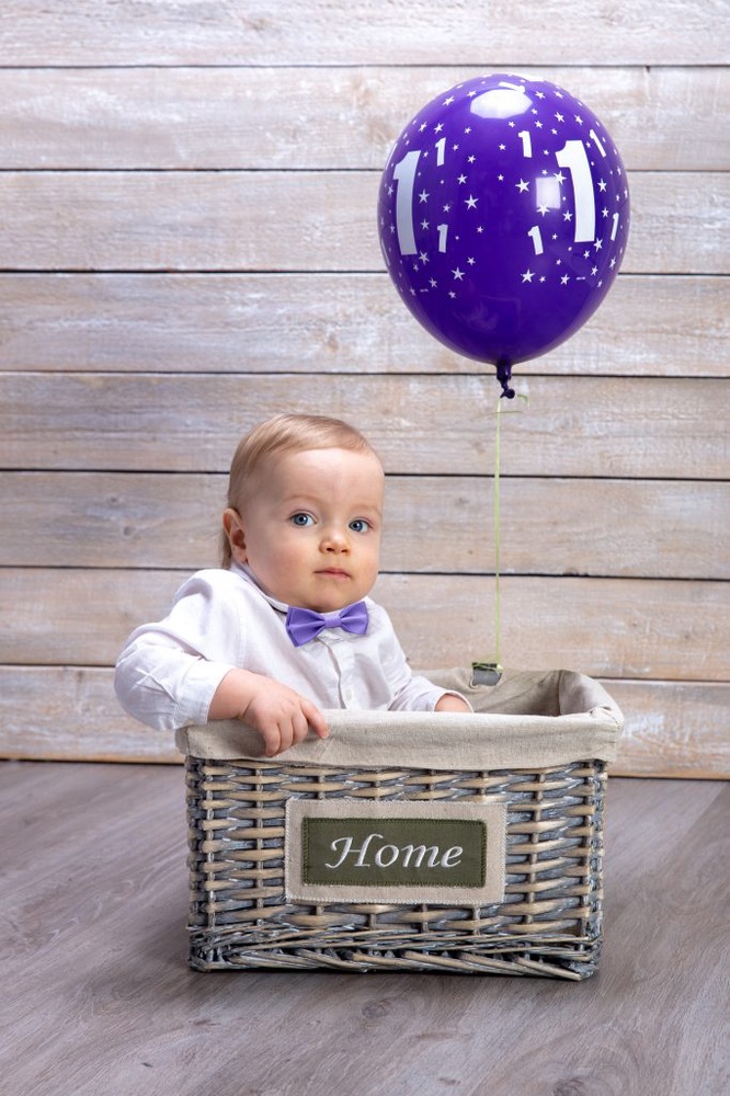 1st birthday photo shoot #2