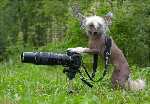 Фото приколы, картинки, анекдоты #3